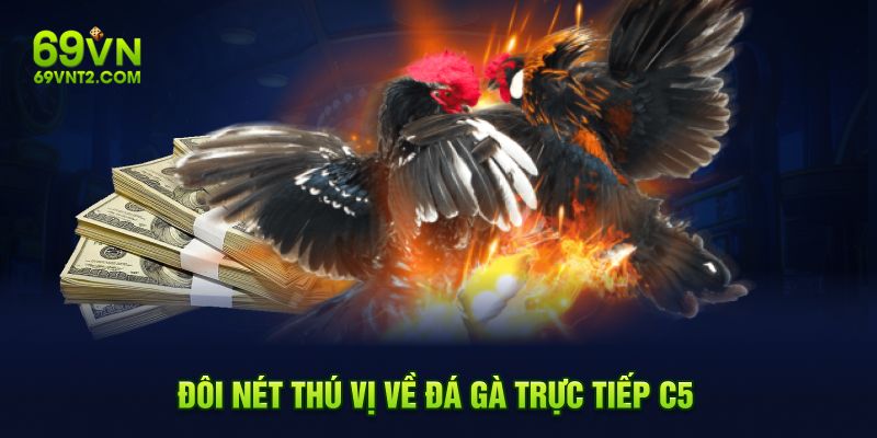 Đôi nét thú vị về đá gà trực tiếp C5 Đôi nét thú vị về đá gà trực tiếp C5