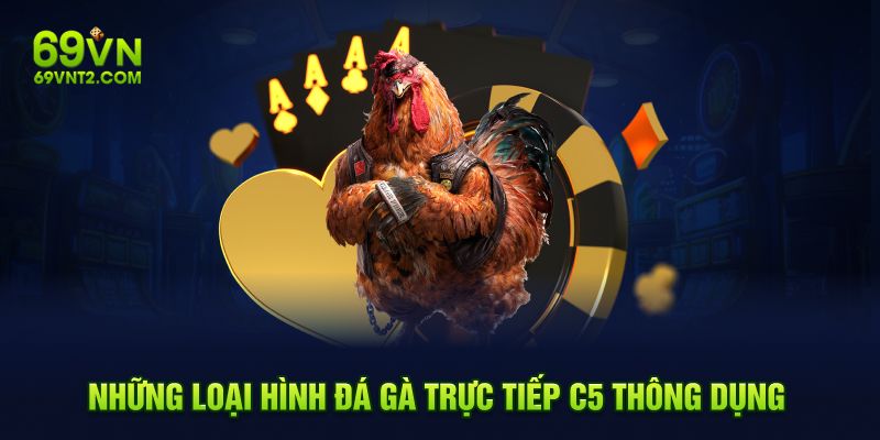 Những loại hình đá gà trực tiếp C5 thông dụng Những loại hình đá gà trực tiếp C5 thông dụng